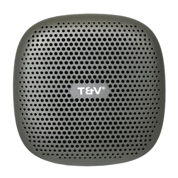 Parlante Thonet & Vander Duett Tws Bluetooth / 3.5MM